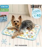 【ペットパラダイス/PET PARADISE / GOODS】のスヌーピー 冷感柔らかマット 《アイス柄》 S ホワイト×ブルー|ID: prp329100004595171 ipo3291000000032649482
