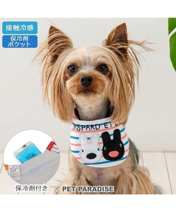 【ペットパラダイス/PET PARADISE / GOODS】のリサとガスパール クールバンダナ 《ボーダー》 小型犬 インテリア・キッズ・メンズ・レディースファッション・服の通販 founy(ファニー) https://founy.com/ 春 Spring クール Cool バンダナ Bandana パール Pearl プリント Print ボーダー Border ポケット Pocket S/S・春夏 Ss・Spring/Summer 再入荷 Restock/Back In Stock/Re Arrival 犬 Dog 夏 Summer ホーム・キャンプ・アウトドア・お取り寄せ Home,Garden,Outdoor,Camping Gear ペットグッズ Pet Supplies |ID: prp329100004596245 ipo3291000000032662435