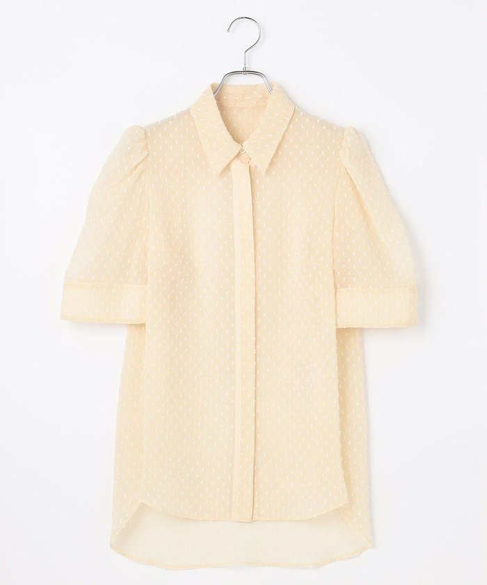 【ハッシュニュアンス/#Newans】の【ANSWER for シティライフ】ドットデザインシアーシャツ インテリア・キッズ・メンズ・レディースファッション・服の通販 founy(ファニー) https://founy.com/ ファッション Fashion レディースファッション Fashion for Women トップス・カットソー Cut & Sew Tops シャツ・ブラウス・オフィスカジュアル Elegant Blouses & Button-Ups コンパクト Compact, Small Size シアー Sheer, See-Through スマート Smart, Elegant スリーブ Sleeve, Long Sleeve / Short Sleeve ドット Polka Dot, Dot Pattern エレガント 上品 Elegant 夏 Summer 定番 Standard, Basic Item 春 Spring S/S・春夏 SS, Spring/Summer, Warm Season |ID: prp329100004596329 ipo3291000000034424077