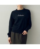 【イェッカ ヴェッカ/YECCA VECCA】のロゴニット 人気、トレンドファッション・服の通販 founy(ファニー) ファッション Fashion レディースファッション Ladies' Fashion Online トップス・カットソー Tops/Tshirt ニット Knit Tops おすすめ Recommend カットソー Cut And Sew セーター Sweater フォルム Form フロント Front ポケット Pocket A/W・秋冬 Aw・Autumn/Winter・Fw・Fall-Winter thumbnail Black|ID: prp329100004597775 ipo3291000000032679320