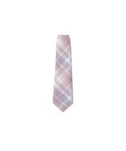 【ウィゴー/WEGO】の【SCHOOLITEM】チェックスクールネクタイ ホワイトチェック1|ID: prp329100004602126 ipo3291000000032721442