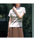 【ジェイ プレス/J.PRESS】の【WEB限定カラーあり・洗える・抗菌防臭】COTTON POLYESTER ボーダー 襟付き ニット グレージュ×ブラウン系|ID: prp329100004602172 ipo3291000000033153015