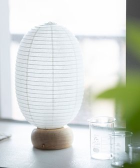 【ちょうちん堂/TYOUCHIN】の【cocolan Muji】恐竜 ちょうちん ライト 人気、トレンドファッション・服の通販 founy(ファニー) ファッション Fashion レディースファッション Fashion for Women コンパクト Compact, Small Size おすすめ Recommended / Our Picks ビジネス 仕事 通勤 Business / Work / Commuting |ID:prp329100004602871