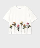 【ポール スミス/Paul Smith】のフラワー ヘムプリント 半袖Tシャツ オフホワイト|ID: prp329100004626770 ipo3291000000033249781