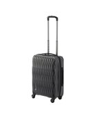 【エースバッグズアンドラゲッジ/ACE BAGS & LUGGAGE】のProteca トリアクシス3 スーツケース 37L 機内持込 02491 プロテカ ガンメタリック|ID: prp329100004633638 ipo3291000000033357050