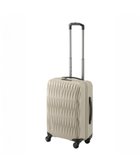 【エースバッグズアンドラゲッジ/ACE BAGS & LUGGAGE】のProteca トリアクシス3 スーツケース 37L 機内持込 02491 プロテカ スターゴールド|ID: prp329100004633638 ipo3291000000033357052
