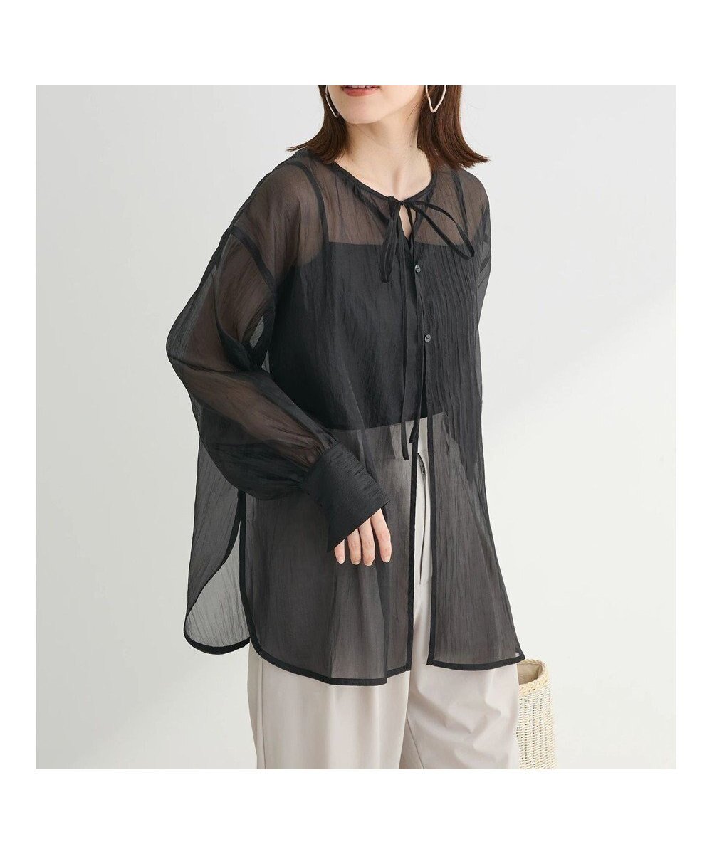 【グリーンパークス/Green Parks】の・ELENCARE DUE 2wayシアーブラウス インテリア・キッズ・メンズ・レディースファッション・服の通販 founy(ファニー) 　ファッション　Fashion　レディースファッション　Fashion for Women　ワンピース　Dresses　チュニック　Tunic Tops & Dresses　シアー　Sheer, See-Through　チュニック　Tunic, Long Top　ポケット　Pocket, Pocket Detail　リボン　Ribbon, Bow　夏　Summer　春　Spring　S/S・春夏　SS, Spring/Summer, Warm Season　Black|ID: prp329100004633683 ipo3291000000033358374