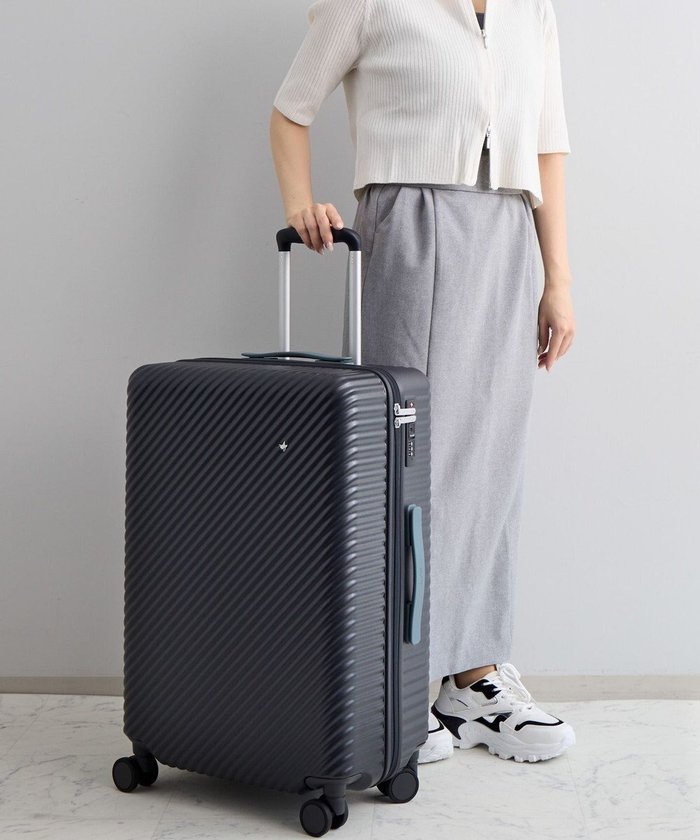 【エースバッグズアンドラゲッジ/ACE BAGS & LUGGAGE】のHaNT ココント スーツケース 58L 05514 ハント インテリア・キッズ・メンズ・レディースファッション・服の通販 founy(ファニー) https://founy.com/ ファッション Fashion レディースファッション Fashion for Women スーツ Business Suits & Workwear シルバー Silver, Metallic Silver スタンダード Standard, Basic プリント Print, Printed Pattern ポケット Pocket, Pocket Detail メタル Metal, Metal Parts メッシュ Mesh, Net Fabric リュック Backpack, Rucksack 再入荷 Restock / Back in Stock おすすめ Recommended / Our Picks 旅行 Travel スーツケース キャリーケース Suitcase / Carry Case |ID: prp329100004642598 ipo3291000000033487337