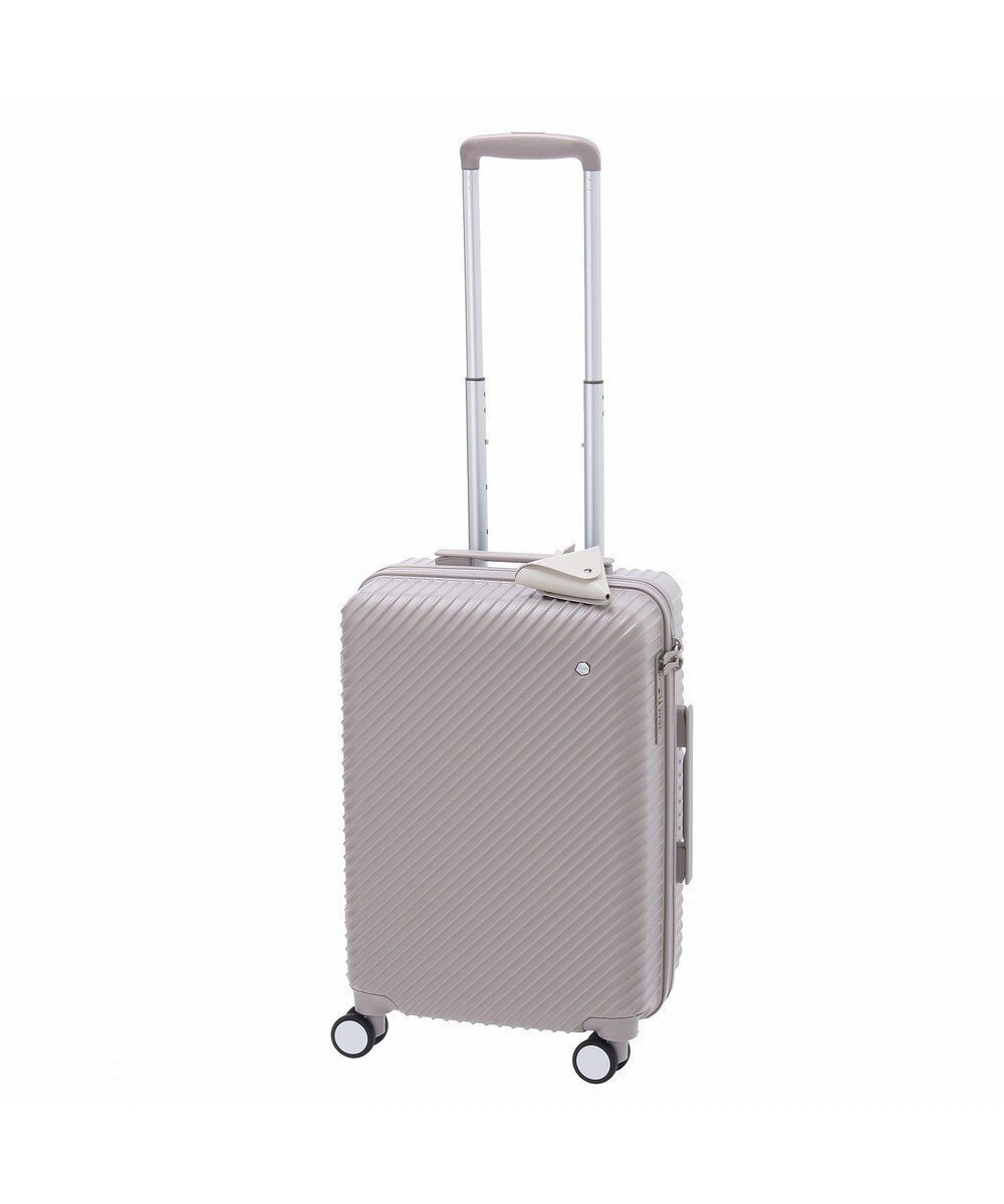 【エースバッグズアンドラゲッジ/ACE BAGS & LUGGAGE】の【雑誌掲載】 W .Day Night HaNT コラボ スーツケース 機内持ち込み 30L 05101 ダブルアンドデイナイト ハント インテリア・キッズ・メンズ・レディースファッション・服の通販 founy(ファニー) 　雑誌掲載アイテム　Magazine Picks & Fashion Features　ファッション雑誌　Fashion Magazines　オッジ　Oggi　ファッション　Fashion　レディースファッション　Fashion for Women　スーツ　Business Suits & Workwear　クッション　Cushion, Throw Pillow　グラフィック　Graphic, Graphic Design　コラボ　Collaboration, Collab　巾着　Drawstring Bag, Kinchaku　スペシャル　Special, Limited Edition　雑誌　Magazine, Fashion Magazine　チャーム　Charm, Pendant　ポケット　Pocket, Pocket Detail　ポーチ　Pouch, Small Case　メッシュ　Mesh, Net Fabric　6月号　June Issue, Jun. Edition　新作・新入荷　New Arrivals / New In　おすすめ　Recommended / Our Picks　夏　Summer　旅行　Travel　スーツケース キャリーケース　Suitcase / Carry Case　グレージュ|ID: prp329100004643024 ipo3291000000033493013
