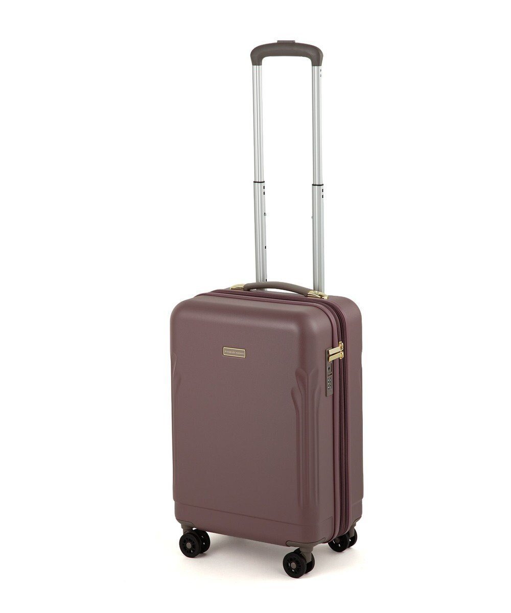 【エースバッグズアンドラゲッジ/ACE BAGS & LUGGAGE】のhiromichi nakano リーヴァ2 スーツケース 機内持ち込み 36L 05013 ヒロミチナカノ インテリア・キッズ・メンズ・レディースファッション・服の通販 founy(ファニー) 　ファッション　Fashion　レディースファッション　Fashion for Women　スーツ　Business Suits & Workwear　シンプル　Simple, Minimal　トラベル　Travel, Travel Gear　フラワー　Flower, Floral　ポケット　Pocket, Pocket Detail　メッシュ　Mesh, Net Fabric　リュック　Backpack, Rucksack　再入荷　Restock / Back in Stock　旅行　Travel　スーツケース キャリーケース　Suitcase / Carry Case　エレガント 上品　Elegant　ローズグレー|ID: prp329100004645979 ipo3291000000033532763