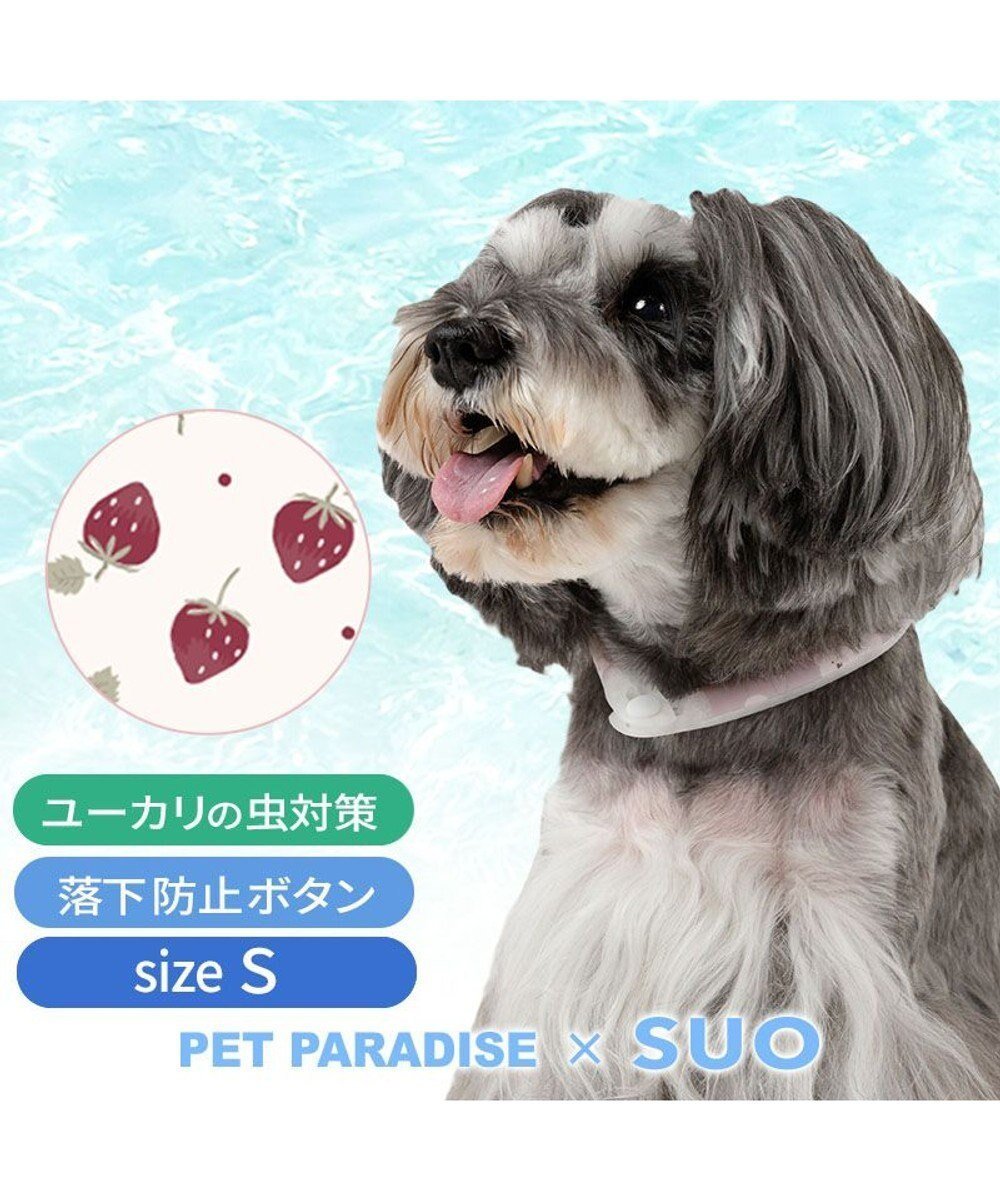 【ペットパラダイス/PET PARADISE / GOODS】のペットパラダイス 28℃クールリング 《いちご》 S 小型犬 人気、トレンドファッション・服の通販 founy(ファニー) 　クール　Cool, Chic　コンパクト　Compact, Small Size　フィット　Fit, Slim Fit　フラット　Flat, Flat Shoes　おすすめ　Recommended / Our Picks　犬　Dog　夏　Summer　ホーム・キャンプ・アウトドア・お取り寄せ　Home Living / Home & Lifestyle / Camping Gear / Outdoor Camping　ペットグッズ　Pet Supplies　 other-1|ID: prp329100004654493 ipo3291000000033652967