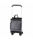 【エースバッグズアンドラゲッジ/ACE BAGS & LUGGAGE】のsoelte カランド2 お買い物キャリー ショッピングカート 16L 35984 ソエルテ ダークグレー|ID: prp329100004654760 ipo3291000000033659946