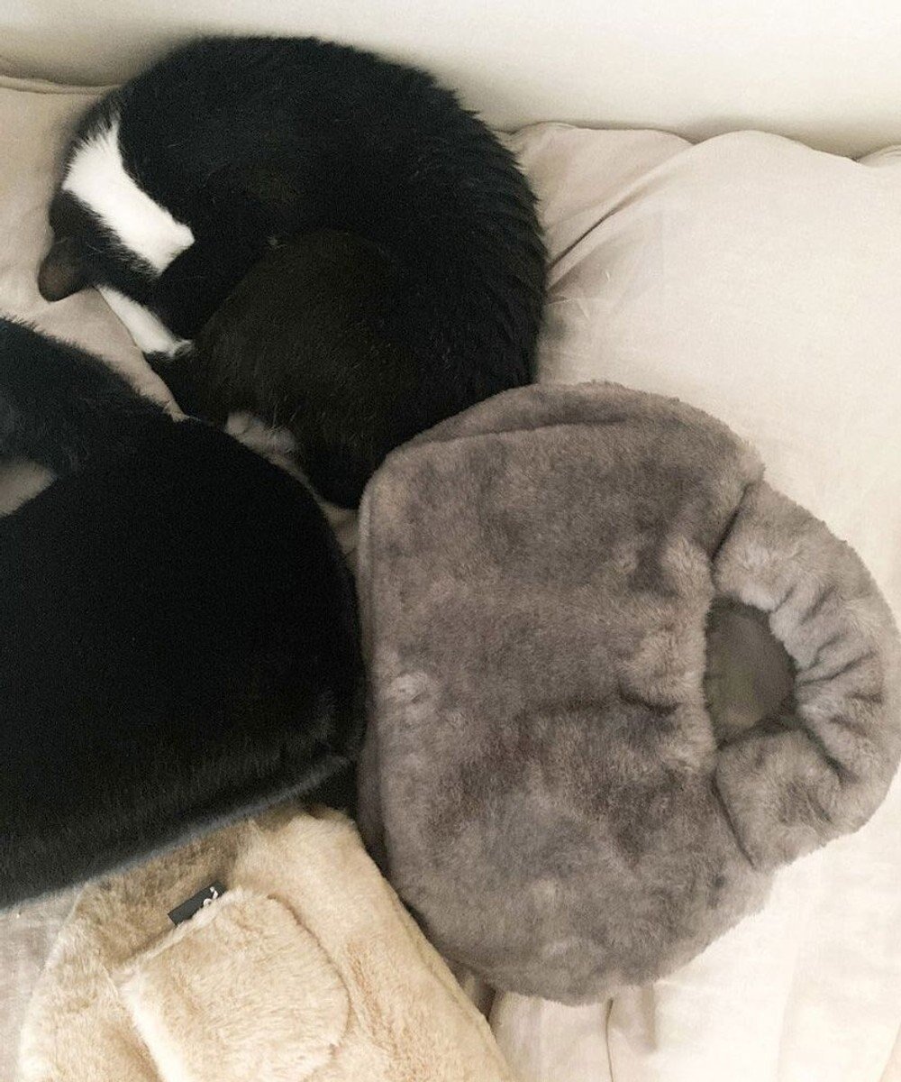 【ルートート/ROOTOTE】の1325【まるで猫】SN.デリ.ファーブランケット-A インテリア・キッズ・メンズ・レディースファッション・服の通販 founy(ファニー) 　ファッション　Fashion　レディースファッション　Fashion for Women　バッグ　Bags　カメラ　Camera Accessories　財布　Wallet, Purse　猫　Cat, Kitty　ハンカチ　Handkerchief, Hanky　ブランケット　Blanket, Throw Blanket　ポケット　Pocket, Pocket Detail　ポーチ　Pouch, Small Case　ランダム　Random, Irregular　リップ　Lip, Lip Motif　冬　Winter / This Winter　エレガント 上品　Elegant　02:グレー|ID: prp329100004654844 ipo3291000000033660535