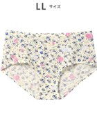 【ツモリチサト スリープ/tsumori chisato SLEEP】のツモリチサト ショーツ はきこみ丈 ふつう レディース UPX581 /ワコール 人気、トレンドファッション・服の通販 founy(ファニー) ファッション Fashion レディースファッション Fashion for Women ショーツ Shorts, Short Pants パジャマ Pajamas, Sleepwear thumbnail クリーム|ID: prp329100004655825 ipo3291000000033674826