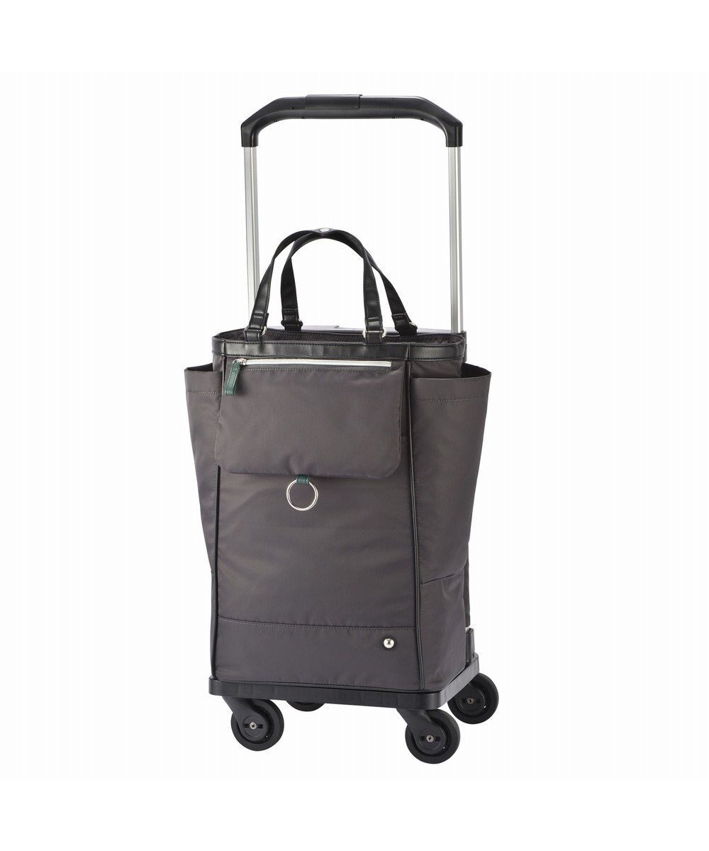 【エースバッグズアンドラゲッジ/ACE BAGS & LUGGAGE】のsoelte オートュイユ お買い物キャリー 21L 35981 ソエルテ ソフトスーツケース インテリア・キッズ・メンズ・レディースファッション・服の通販 founy(ファニー) 　ファッション　Fashion　レディースファッション　Fashion for Women　スーツ　Business Suits & Workwear　傘　Umbrella, Parasol　フロント　Front, Front Design　ポケット　Pocket, Pocket Detail　マグネット　Magnet, Magnetic Closure　メッシュ　Mesh, Net Fabric　スーツケース キャリーケース　Suitcase / Carry Case　チャコールグレー|ID: prp329100004656823 ipo3291000000033685041