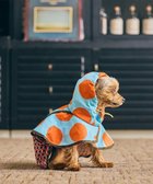 【コキュウ/COQ】のDOTS CROSSドッグポンチョ〈小型～中型犬〉 スカイブルー|ID: prp329100004657051 ipo3291000000034251734