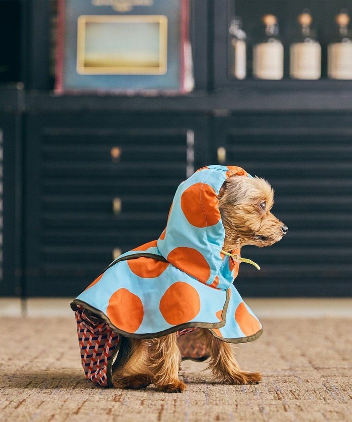 【コキュウ/COQ】のDOTS CROSSドッグポンチョ〈小型～中型犬〉 インテリア・キッズ・メンズ・レディースファッション・服の通販 founy(ファニー) https://founy.com/ ファッション Fashion レディースファッション Fashion for Women アウター Coat / Outerwear Collection ポンチョ・ケープコート Ponchos & Capes コレクション Collection, Seasonal Line コンパクト Compact, Small Size ドット Polka Dot, Dot Pattern バランス Balance, Style Balance プリント Print, Printed Pattern ポケット Pocket, Pocket Detail ポンチョ Poncho, Cape Style メッシュ Mesh, Net Fabric A/W・秋冬 Autumn/Winter S/S・春夏 SS, Spring/Summer, Warm Season おすすめ Recommended / Our Picks 日本製 Made In Japan 犬 Dog 夏 Summer |ID: prp329100004657051 ipo3291000000034412422