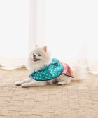 【コキュウ/COQ】のPLAID ARGYLEドッグポンチョ〈小型～中型犬〉 グリーン|ID: prp329100004657052 ipo3291000000034251742