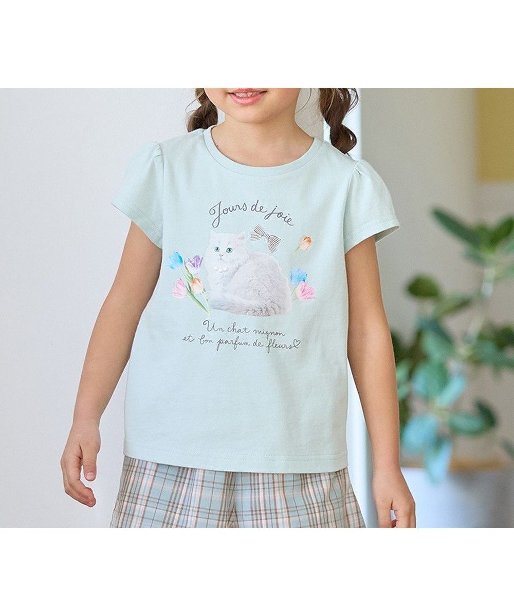 【エニィ/ANY / KIDS】のフォトプリント ネコ Tシャツ インテリア・キッズ・メンズ・レディースファッション・服の通販 founy(ファニー) 　ファッション　Fashion　キッズファッション　Fashion for Kids　トップス・カットソー　Cut & Sew Tops　カットソー　Cut and Sewn Top　カラフル　Colorful Design　ネコ　Cat, Feline Motif　パール　Pearl, Pearl Accent　プリント　Print, Printed Pattern　ポケット　Pocket, Pocket Detail　モチーフ　Motif, Design Theme　半袖　Short Sleeve, Half Sleeve　夏　Summer　春　Spring　S/S・春夏　SS, Spring/Summer, Warm Season　ミント|ID: prp329100004657433 ipo3291000000034337375