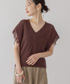 【アメリカンホリック/AMERICAN HOLIC】の袖フリンジショート丈プルオーバー 人気、トレンドファッション・服の通販 founy(ファニー) ファッション Fashion レディースファッション Fashion for Women トップス・カットソー Cut & Sew Tops ニット Knit Tops & Sweaters カジュアルプルオーバー・ニットトップス Pullovers & Knit Tops / Casual Pullovers おすすめ Recommended / Our Picks コンパクト Compact, Small Size セーター Sweater, Knitwear フリンジ Fringe, Tassel ボトム Bottoms, Lower Wear ポケット Pocket, Pocket Detail メッシュ Mesh, Net Fabric 夏 Summer 春 Spring S/S・春夏 SS, Spring/Summer, Warm Season 透かし Cut-Out, Lacework 長袖 Long Sleeve, Full Sleeve thumbnail Brown|ID: prp329100004658591 ipo3291000000036153584