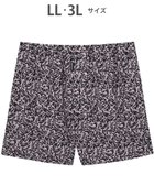 【ワコール/Wacoal / MEN】のトランクス ニット素材 なめらかな肌ざわり 前開き 下着 メンズ GT7111 /ブロス バイ ワコールメン ベージュ|ID: prp329100004659826 ipo3291000000034243151