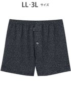 【ワコール/Wacoal / MEN】のトランクス ニット素材 なめらかな肌ざわり 前開き 下着 メンズ GT7111 /ブロス バイ ワコールメン ダークブラウン|ID: prp329100004659826 ipo3291000000034243153