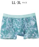 【ワコール/Wacoal / MEN】の【キモチイイパンツ】 ボクサーパンツ 動きにフィット フロント快適グラマラス 吸汗速乾 上質なフィット感 肌あたり軽減設計 前閉じ 下着 メンズ GT3371 /ブロス バイ ワコールメン グリーン|ID: prp329100004659838 ipo3291000000033918602
