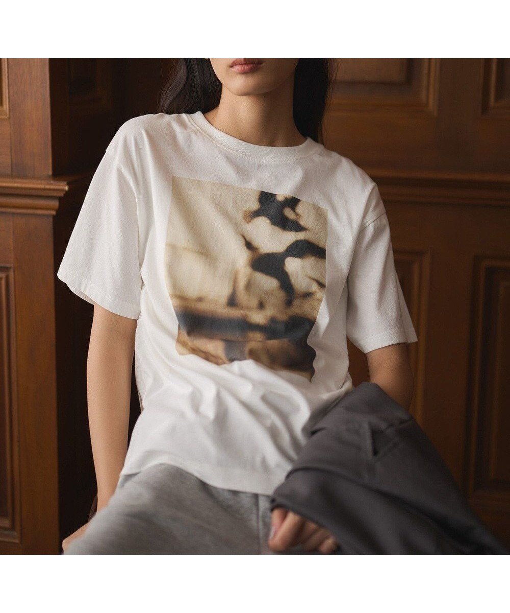 【クラフトスタンダードブティック/CRAFT STANDARD BOUTIQUE】の接触冷感/フォトプリントTEE インテリア・キッズ・メンズ・レディースファッション・服の通販 founy(ファニー) 　ファッション　Fashion　レディースファッション　Fashion for Women　トップス・カットソー　Cut & Sew Tops　シャツ・ブラウス・オフィスカジュアル　Elegant Blouses & Button-Ups　ロングTシャツ・Tシャツ　Longline T-Shirts & Tees　カットソー・ベーシックTシャツ　Cut-and-Sewn Tops / Stretch Tees & Basics　インナー　Innerwear　カットソー　Cut and Sewn Top　カーディガン　Cardigan, Knitwear　ジャケット　Jacket, Outerwear　スラックス　Slacks, Dress Pants　デニム　Denim, Jeans Material　プリント　Print, Printed Pattern　ポケット　Pocket, Pocket Detail　A/W・秋冬　Autumn/Winter　夏　Summer　A|ID: prp329100004660785 ipo3291000000033728108