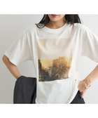 【クラフトスタンダードブティック/CRAFT STANDARD BOUTIQUE】の接触冷感/フォトプリントTEE C|ID: prp329100004660785 ipo3291000000033728110