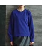 【アイシービー/iCB】の【洗える】ジョーゼットジャージー ドルマンスリーブプルオーバー 人気、トレンドファッション・服の通販 founy(ファニー) ファッション Fashion レディースファッション Fashion for Women トップス・カットソー Cut & Sew Tops シャツ・ブラウス・オフィスカジュアル Elegant Blouses & Button-Ups ロングTシャツ・Tシャツ Longline T-Shirts & Tees カジュアルプルオーバー・ニットトップス Pullovers & Knit Tops / Casual Pullovers カットソー・ベーシックTシャツ Cut-and-Sewn Tops / Stretch Tees & Basics 洗える Machine Washable カットソー Cut and Sewn Top コンビ Combo, Combination Style ジョーゼット Georgette, Semi-Sheer Fabric ストレッチ Stretch, Stretchy Fabric ルーズ Loose, Oversized A/W・秋冬 Autumn/Winter おすすめ Recommended / Our Picks エレガント 上品 Elegant ビジネス 仕事 通勤 Business / Work / Commuting 2025年 2025 2025-2026秋冬・A/W Autumn/Winter 2025–26 AW25–26 thumbnail ロイヤルブルー系|ID: prp329100004660979 ipo3291000000034070856