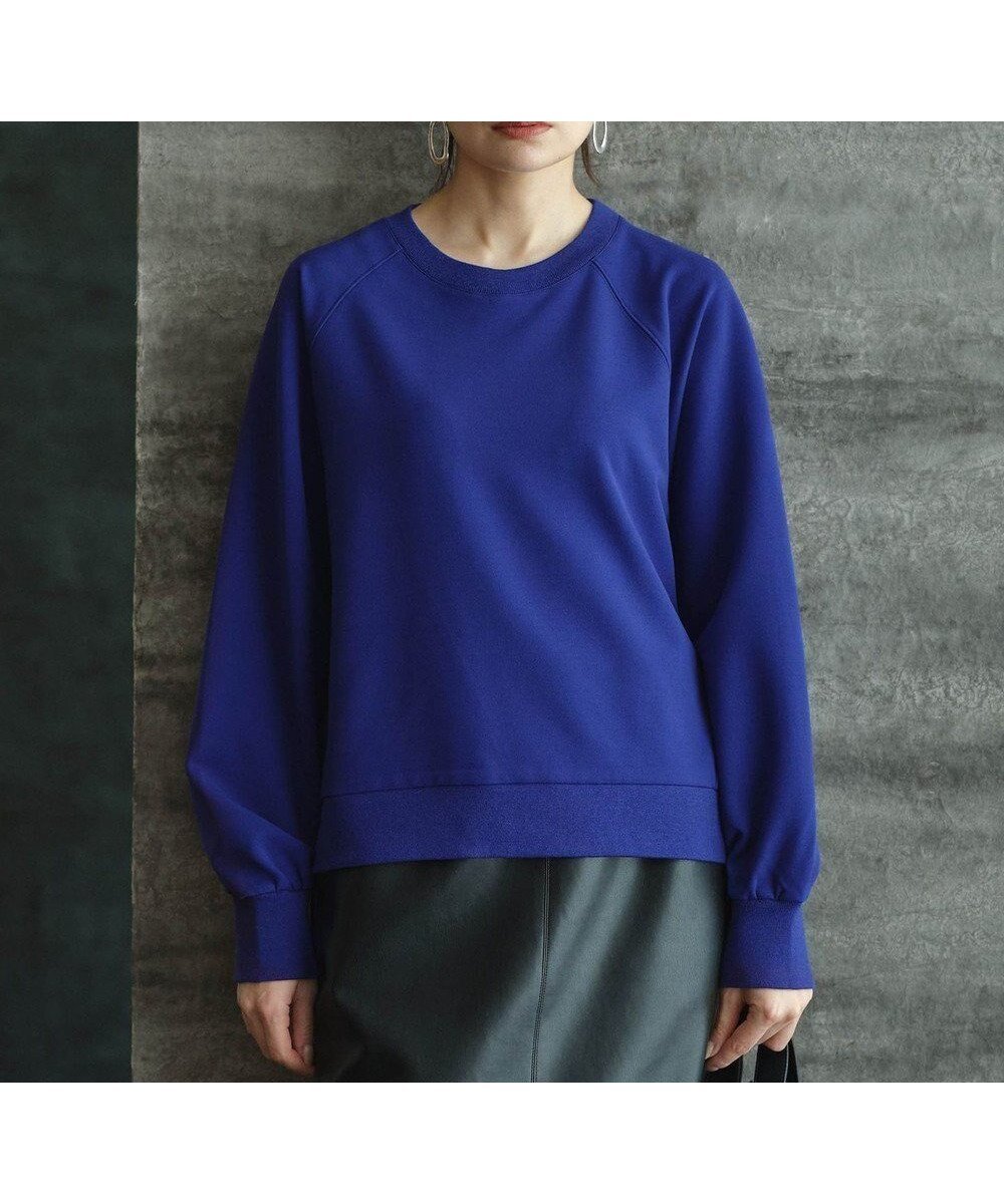 【アイシービー/iCB】の【洗える】ジョーゼットジャージー ドルマンスリーブプルオーバー インテリア・キッズ・メンズ・レディースファッション・服の通販 founy(ファニー) ファッション Fashion レディースファッション Fashion for Women トップス・カットソー Cut & Sew Tops シャツ・ブラウス・オフィスカジュアル Elegant Blouses & Button-Ups ロングTシャツ・Tシャツ Longline T-Shirts & Tees カジュアルプルオーバー・ニットトップス Pullovers & Knit Tops / Casual Pullovers カットソー・ベーシックTシャツ Cut-and-Sewn Tops / Stretch Tees & Basics 洗える Machine Washable カットソー Cut and Sewn Top コンビ Combo, Combination Style ジョーゼット Georgette, Semi-Sheer Fabric ストレッチ Stretch, Stretchy Fabric ルーズ Loose, Oversized A/W・秋冬 Autumn/Winter おすすめ Recommended / Our Picks エレガント 上品 Elegant ビジネス 仕事 通勤 Business / Work / Commuting 2025年 2025 2025-2026秋冬・A/W Autumn/Winter 2025–26 AW25–26 ロイヤルブルー系|ID: prp329100004660979 ipo3291000000034070856