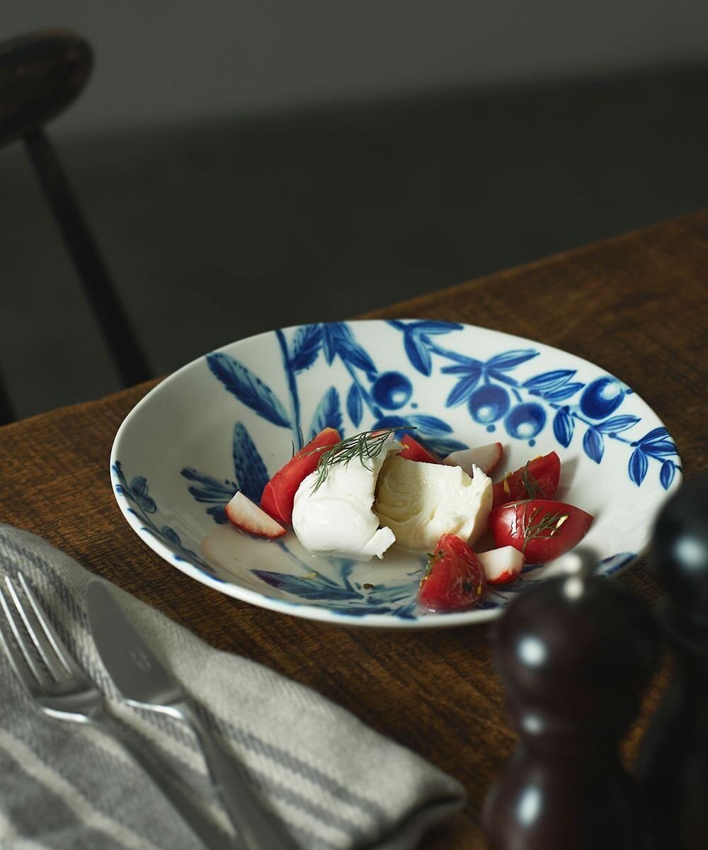 【アイトー製作所/aito】のボタニカル パスタ皿 ダリア インテリア・キッズ・メンズ・レディースファッション・服の通販 founy(ファニー) 　ファッション　Fashion　レディースファッション　Fashion for Women　軽量　Lightweight, Ultra Light　皿　Plate, Dish　ボタニカル　Botanical, Floral Pattern　ダリア_288141|ID: prp329100004664364 ipo3291000000033742298