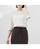 【ジェイ プレス/J.PRESS】の【洗える】シアーピンストライプ ブラウスライク カットソー オフ×ダークブラウン系|ID: prp329100004664611 ipo3291000000033743155