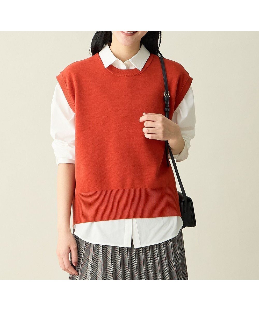 【エニー/ANY】の【洗濯機可】フレンチスリーブニット 人気、トレンドファッション・服の通販 founy(ファニー) 　ファッション　Fashion　レディースファッション　Fashion for Women　トップス・カットソー　Cut & Sew Tops　ニット　Knit Tops & Sweaters　秋　Autumn　カットソー　Cut and Sewn Top　ストレッチ　Stretch, Stretchy Fabric　スマホ　Smartphone, Mobile Device　スリット　Slit, Slit Detail　スリーブ　Sleeve, Long Sleeve / Short Sleeve　セーター　Sweater, Knitwear　フレンチ　French, French Style　ベスト　Vest, Waistcoat　ロング　Long, Long-Length　ワイド　Wide, Wide Fit　A/W・秋冬　Autumn/Winter　再入荷　Restock / Back in Stock　新作・新入荷　New Arrivals / New In　エレガント 上品　Elegant　 other-1|ID: prp329100004665407 ipo3291000000033747255