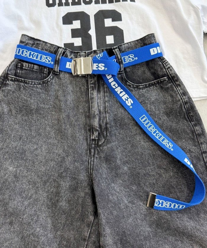 【ウィゴー/WEGO】の【ユニセックス着用ITEM】Dickies ロゴプリントベルト インテリア・キッズ・メンズ・レディースファッション・服の通販 founy(ファニー) https://founy.com/ ファッション Fashion レディースファッション Fashion for Women ベルト&ウエストマーク Belts & Waist Accessories スマホ Smartphone, Mobile Device トレンド Trend, Trending Now メンズ Men's, Menswear ワンポイント One Point, Statement Accent ワーク Workwear, Utility Style |ID: prp329100004666742 ipo3291000000033751765