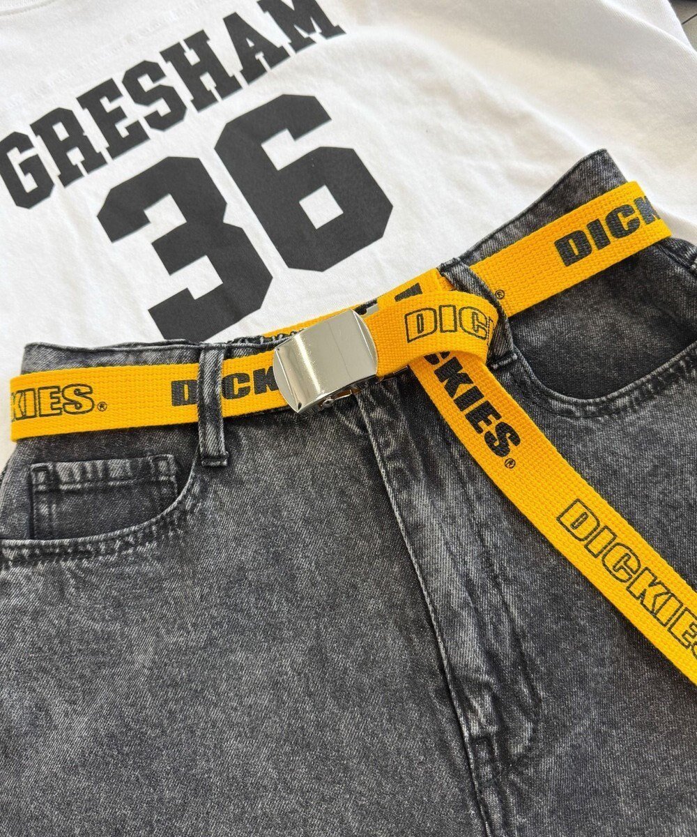 【ウィゴー/WEGO】の【ユニセックス着用ITEM】Dickies ロゴプリントベルト インテリア・キッズ・メンズ・レディースファッション・服の通販 founy(ファニー) 　ファッション　Fashion　レディースファッション　Fashion for Women　ベルト&ウエストマーク　Belts & Waist Accessories　スマホ　Smartphone, Mobile Device　トレンド　Trend, Trending Now　メンズ　Men's, Menswear　ワンポイント　One Point, Statement Accent　ワーク　Workwear, Utility Style　イエロー|ID: prp329100004666742 ipo3291000000033751779