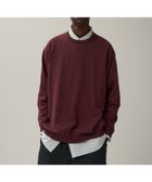 【エイトン/ATON】のFRESCA KNIT クルーネックセーター - UNISEX 人気、トレンドファッション・服の通販 founy(ファニー) ファッション Fashion レディースファッション Fashion for Women トップス・カットソー Cut & Sew Tops ニット Knit Tops & Sweaters ユニセックス Unisex, Genderless インド Indian Textile セーター Sweater, Knitwear ドレープ Drape, Draping Fabric ボックス Boxy, Box Shape 吸水 Absorbent, Quick-Dry 夏 Summer 春 Spring S/S・春夏 SS, Spring/Summer, Warm Season thumbnail BURGANDY|ID: prp329100004667957 ipo3291000000033756511