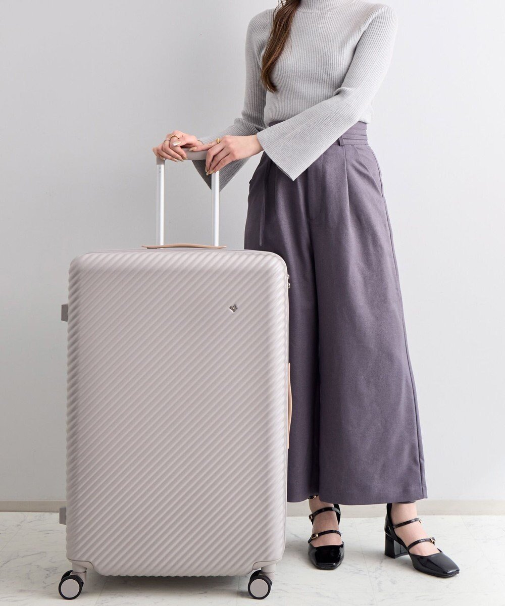 【エースバッグズアンドラゲッジ/ACE BAGS & LUGGAGE】のHaNT ココント スーツケース 97L 05516 ハント インテリア・キッズ・メンズ・レディースファッション・服の通販 founy(ファニー) 　ファッション　Fashion　レディースファッション　Fashion for Women　スーツ　Business Suits & Workwear　シルバー　Silver, Metallic Silver　スタンダード　Standard, Basic　プリント　Print, Printed Pattern　ポケット　Pocket, Pocket Detail　メタル　Metal, Metal Parts　メッシュ　Mesh, Net Fabric　リュック　Backpack, Rucksack　再入荷　Restock / Back in Stock　おすすめ　Recommended / Our Picks　旅行　Travel　スーツケース キャリーケース　Suitcase / Carry Case　フォグ・モーブ|ID: prp329100004669134 ipo3291000000033760709