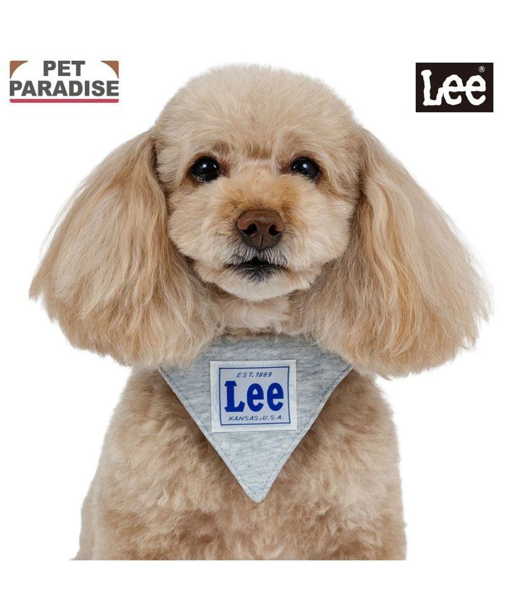 【ペットパラダイス/PET PARADISE / GOODS】のLee 両面バンダナ 首輪 S 人気、トレンドファッション・服の通販 founy(ファニー) 　バンダナ　Bandana, Head Scarf　ホーム・キャンプ・アウトドア・お取り寄せ　Home Living / Home & Lifestyle / Camping Gear / Outdoor Camping　ペットグッズ　Pet Supplies　 other-1|ID: prp329100004670355 ipo3291000000033765982