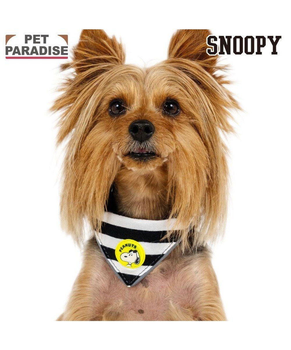 【ペットパラダイス/PET PARADISE / GOODS】のスヌーピー JOE COOL 反射首輪 リバーシブル仕様 3S インテリア・キッズ・メンズ・レディースファッション・服の通販 founy(ファニー) 　イエロー　Yellow　バンダナ　Bandana, Head Scarf　パイピング　Piping, Trim Design　リバーシブル　Reversible, Two-Sided　ホーム・キャンプ・アウトドア・お取り寄せ　Home Living / Home & Lifestyle / Camping Gear / Outdoor Camping　ペットグッズ　Pet Supplies　ホワイト×グレー|ID: prp329100004670367 ipo3291000000035136649