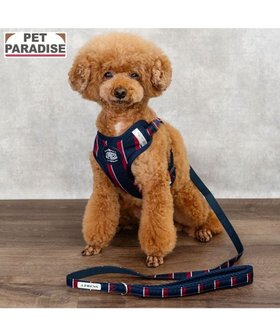 【ペットパラダイス/PET PARADISE / GOODS】のJ.PRESS レジメンタル ハーネス&リード 小型犬 SS 人気、トレンドファッション・服の通販 founy(ファニー) ストライプ Stripe, Striped Pattern 犬 Dog ホーム・キャンプ・アウトドア・お取り寄せ Home Living / Home & Lifestyle / Camping Gear / Outdoor Camping ペットグッズ Pet Supplies |ID:prp329100004670552