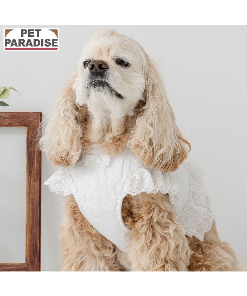 【ペットパラダイス/PET PARADISE / GOODS】のペットパラダイス コットンフリル ベストハーネス SM 人気、トレンドファッション・服の通販 founy(ファニー) 　フリル　Frill, Ruffle　ベスト　Vest, Waistcoat　ホーム・キャンプ・アウトドア・お取り寄せ　Home Living / Home & Lifestyle / Camping Gear / Outdoor Camping　ペットグッズ　Pet Supplies　 other-1|ID: prp329100004670570 ipo3291000000034846089