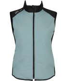 【シーダブリューエックス/CW-X】の【WOMEN】 CW-X レディース ベストジャケット 中綿(前身・後ろ上半身) 保温(本体) ノースリーブ ハイネック スポーツ DWY609 /ワコール ゴールドベージュ|ID: prp329100004674189 ipo3291000000034292874