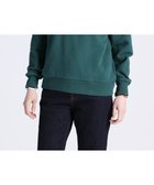 【ポール スミス/Paul Smith】のゼブラワッペン スウェット ブルーグリーン|ID: prp329100004674864 ipo3291000000033783126