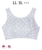 【ワコール 睡眠科学/wacoal suimin】の【ナイトアップブラ】 ノンワイヤーブラ SOU・SOU(R) ナイトブラ 夜用ブラ 睡眠科学/ワコール YBX636 グレー|ID: prp329100004675477 ipo3291000000034314912