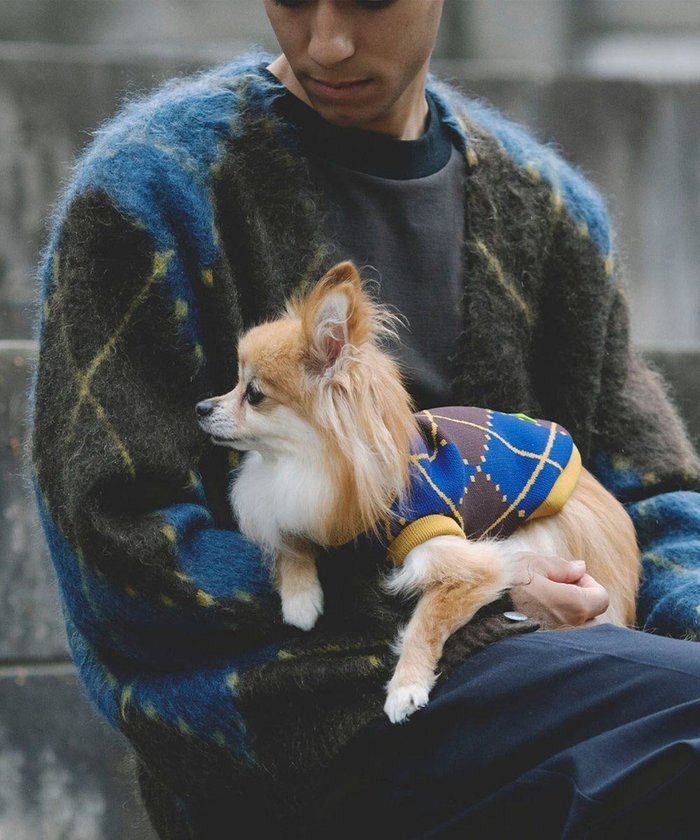 【コキュウ/COQ】の【小型～中型犬】VINTAGE SWEATERドッグウェア インテリア・キッズ・メンズ・レディースファッション・服の通販 founy(ファニー) https://founy.com/ ファッション Fashion レディースファッション Fashion for Women トップス・カットソー Cut & Sew Tops レディースパーカー・カジュアルフーディー Casual Hoodies & Sweatshirts スウェット・クルーネックトップス Sweatshirts & Crewnecks / Relaxed Fit Sweat Tops カーディガン Cardigan, Knitwear コレクション Collection, Seasonal Line 軽量 Lightweight, Ultra Light ストレッチ Stretch, Stretchy Fabric バランス Balance, Style Balance A/W・秋冬 Autumn/Winter S/S・春夏 SS, Spring/Summer, Warm Season 犬 Dog 夏 Summer |ID: prp329100004675745 ipo3291000000034318616