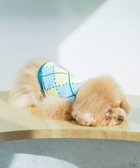【コキュウ/COQ】の【小型～中型犬】VINTAGE SWEATERドッグウェア スカイブルー|ID: prp329100004675745 ipo3291000000034318620