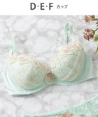 【ウィング/Wing】のWing Lesiage 【2720シリーズ】ブラジャー シアー感のあるラグジュアリーなデザイン ウイング/ワコール PB2720 メロン|ID: prp329100004676232 ipo3291000000033788803