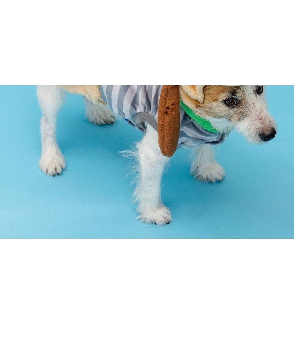 【ペットパラダイス/PET PARADISE / GOODS】のディズニー トイ・ストーリー スリンキ― なりきり パーカー 小型犬 インテリア・キッズ・メンズ・レディースファッション・服の通販 founy(ファニー) 　イエロー　Yellow　パーカー　Hoodie, Parka　冬　Winter / This Winter　夏　Summer　S/S・春夏　SS, Spring/Summer, Warm Season　犬　Dog　A/W・秋冬　Autumn/Winter　ホーム・キャンプ・アウトドア・お取り寄せ　Home Living / Home & Lifestyle / Camping Gear / Outdoor Camping　ペットグッズ　Pet Supplies　ベージュ|ID: prp329100004678009 ipo3291000000034628479