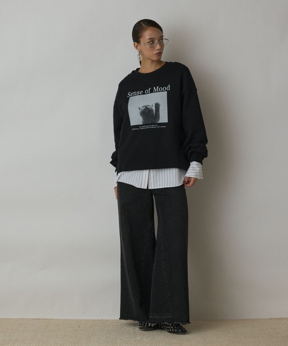 【グレース コンチネンタル/GRACE CONTINENTAL】のCatphoto裏毛トップ インテリア・キッズ・メンズ・レディースファッション・服の通販 founy(ファニー) 　ファッション　Fashion　レディースファッション　Fashion for Women　トップス・カットソー　Cut & Sew Tops　イラスト　Illustration　インナー　Innerwear　猫　Cat, Kitty　レース　Lace, Lace Fabric　A/W・秋冬　Autumn/Winter　ブラック|ID: prp329100004678256 ipo3291000000033797827
